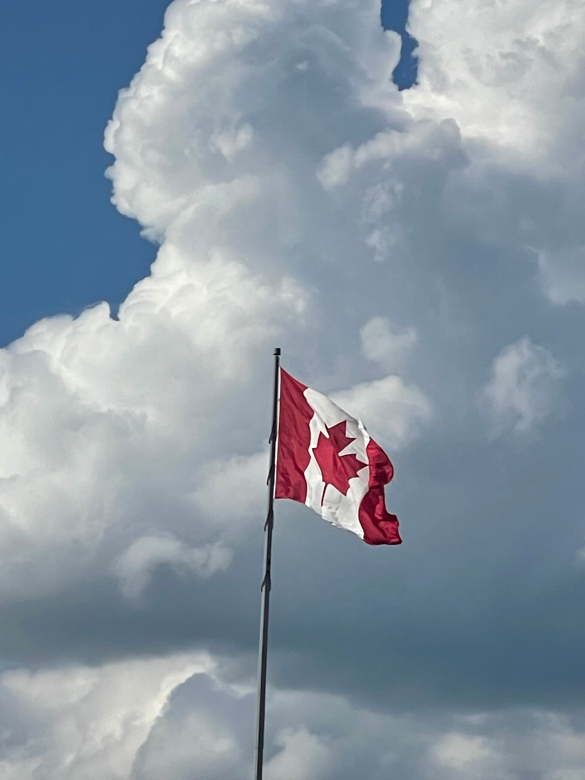 Canadian Flag in a Walmart parking lot.